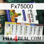 Fx75000 11